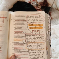 How I study my Bible when I feel burnt out